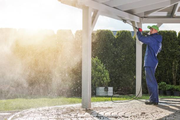 Best Warehouse Cleaning  in Springfield, TN